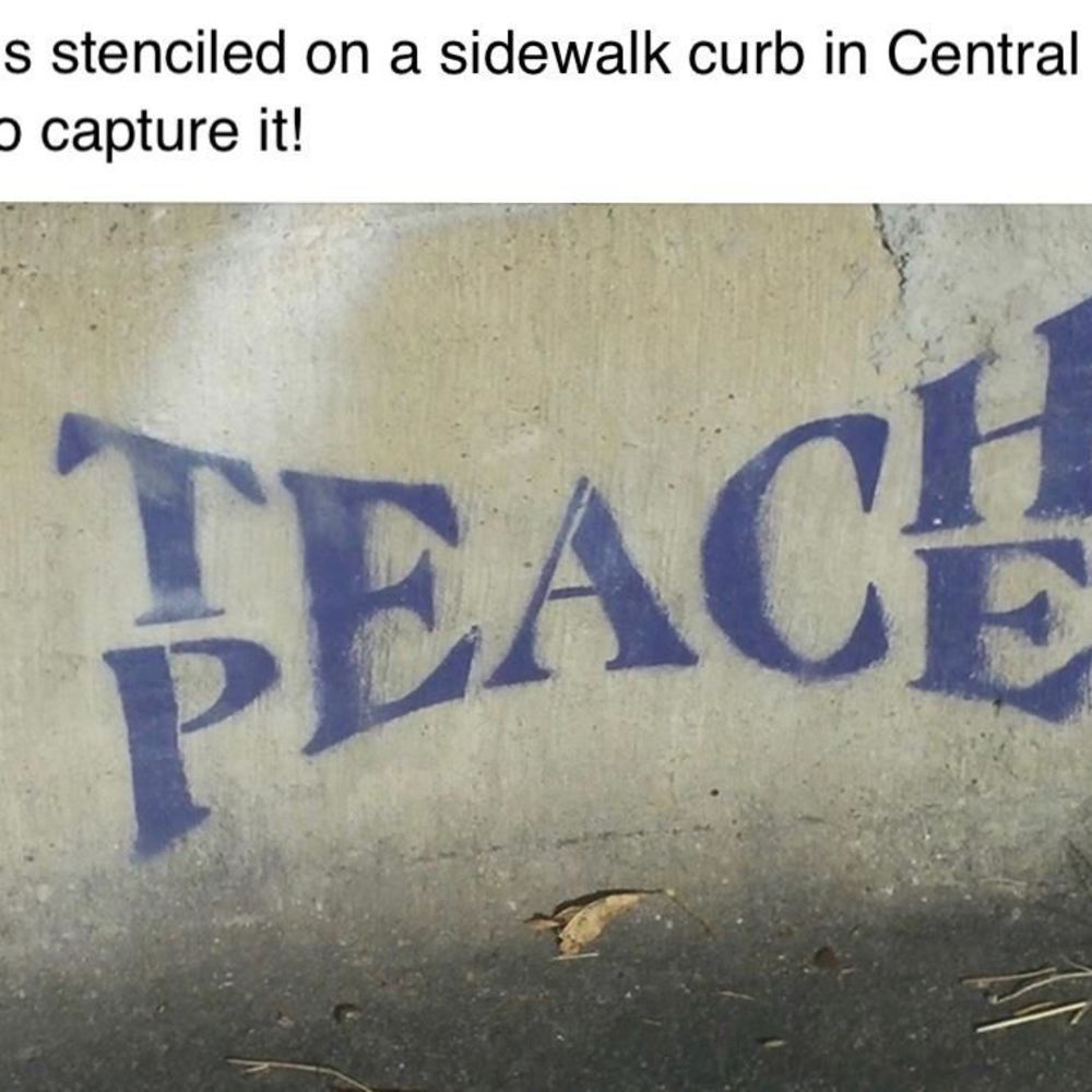 Meet your Posher, Michelle